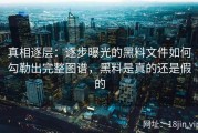 真相逐层：逐步曝光的黑料文件如何勾勒出完整图谱，黑料是真的还是假的