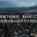 时空穿越下的暗流：黑料网入口中旧档案如何诉说过往不为人知的故事