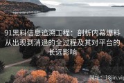 91黑料信息追溯工程：剖析内幕爆料从出现到消退的全过程及其对平台的长远影响