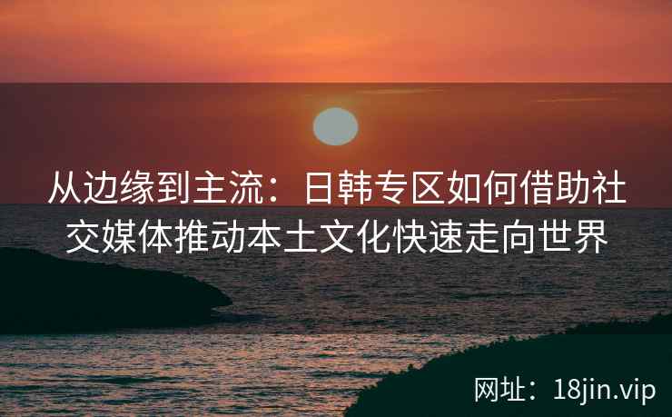 从边缘到主流：日韩专区如何借助社交媒体推动本土文化快速走向世界