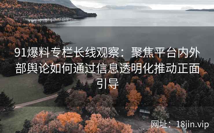 91爆料专栏长线观察：聚焦平台内外部舆论如何通过信息透明化推动正面引导