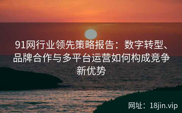 91网行业领先策略报告：数字转型、品牌合作与多平台运营如何构成竞争新优势