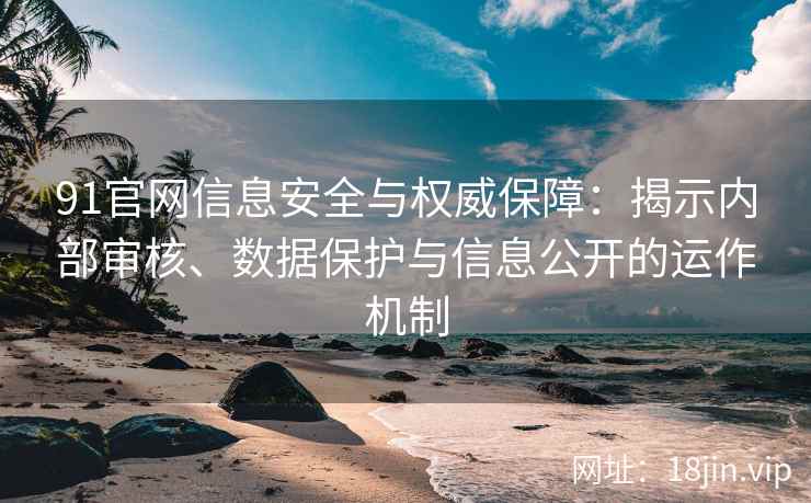 91官网信息安全与权威保障：揭示内部审核、数据保护与信息公开的运作机制