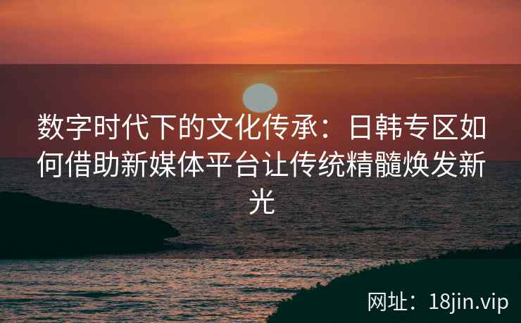 数字时代下的文化传承：日韩专区如何借助新媒体平台让传统精髓焕发新光