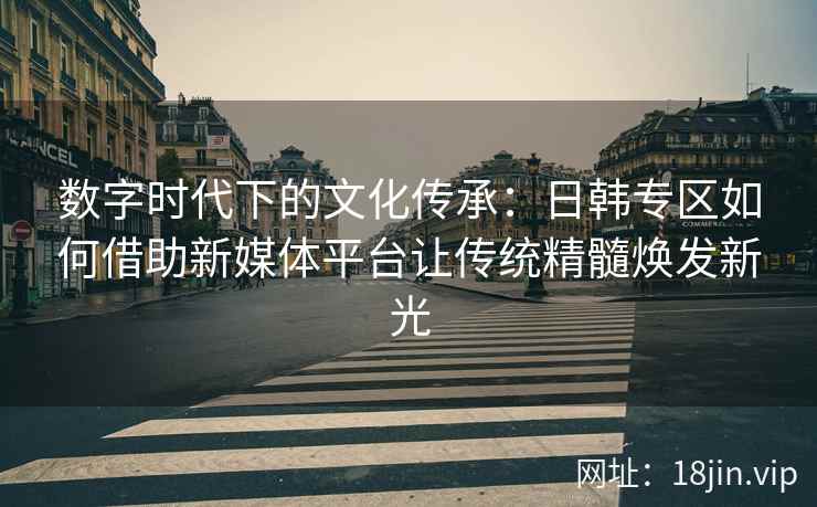 数字时代下的文化传承：日韩专区如何借助新媒体平台让传统精髓焕发新光