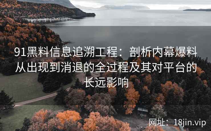 91黑料信息追溯工程：剖析内幕爆料从出现到消退的全过程及其对平台的长远影响