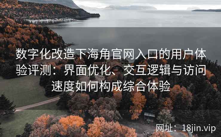 数字化改造下海角官网入口的用户体验评测：界面优化、交互逻辑与访问速度如何构成综合体验